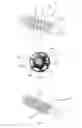 Fig. 03 - Bone screw with apertures