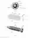 Fig. 06 - Bone screw with apertures
