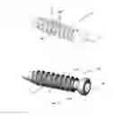 Fig. 07 - Bone screw with apertures