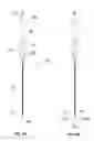 Fig. 06 - Radiofrequency probes with retractable multi-tined electrodes