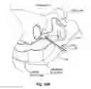 Fig. 30 - Methods and devices for applying energy to bodily tissues