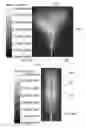 Fig. 42 - Methods and devices for applying energy to bodily tissues