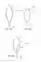 Fig. 45 - Methods and devices for applying energy to bodily tissues