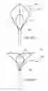 Fig. 46 - Methods and devices for applying energy to bodily tissues