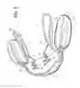 Fig. 07 - Orthodontic device