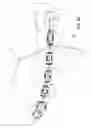 Fig. 06 - DENTAL-HYGIENE TOOL