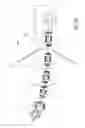 Fig. 07 - DENTAL-HYGIENE TOOL