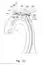 Fig. 09 - Embolic protection device and method