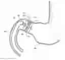 Fig. 01 - Gastrointestinal device