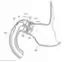 Fig. 01 - Gastrointestinal device