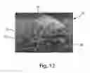 Fig. 09 - HETEROGENOUS MASS CONTAINING FOAM