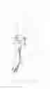 Fig. 01 - WALKING ASSISTANCE DEVICE