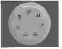 Fig. 01 - REMINDER CAP