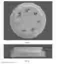 Fig. 02 - REMINDER CAP