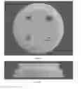 Fig. 06 - REMINDER CAP