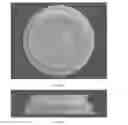 Fig. 07 - REMINDER CAP