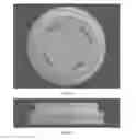 Fig. 09 - REMINDER CAP