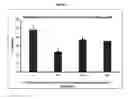 Fig. 04 - Compositions including a botanical extract and methods of using the same in skin whitening and skin lightening applications