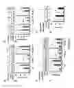 Fig. 05 - Composition and method for treating neuronal ceroid lipofuscinosis