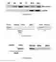 Fig. 03 - Methods of treating portal hypertension
