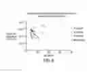 Fig. 07 - METHODS AND COMPOSITIONS FOR INTRATHECALLY ADMINISTERED TREATMENT OF MUCUPOLYSACCHARIDOSIS TYPE IIIA