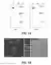 Fig. 02 - Ehrlichial invasin for immunization, diagnosis, and cell delivery