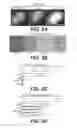 Fig. 05 - Ehrlichial invasin for immunization, diagnosis, and cell delivery