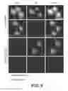 Fig. 15 - Ehrlichial invasin for immunization, diagnosis, and cell delivery