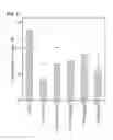 Fig. 04 - Low Antigen-dose Immunization for Maximizing T-helper Cell 1 (Th1) Immunity Against a Pathogen