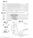 Fig. 02 - HIV therapeutics and methods of making and using same
