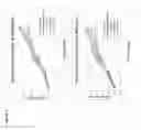 Fig. 07 - Stabilized vancomycin formulations