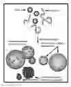 Fig. 01 - Particulate drug delivery methods