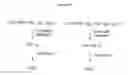 Fig. 02 - Auristatin compounds and conjugates thereof