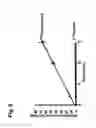 Fig. 08 - Potentiation of anticancer agents