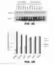 Fig. 06 - Compositions and methods for polynucleotide transfection