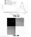 Fig. 08 - Compositions and methods for polynucleotide transfection
