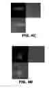 Fig. 09 - Compositions and methods for polynucleotide transfection