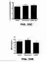 Fig. 76 - Compositions and methods for polynucleotide transfection
