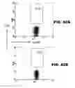 Fig. 87 - Compositions and methods for polynucleotide transfection