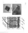 Fig. 02 - Hemostatic foam