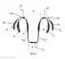 Fig. 04 - DEVICE FOR IMPROVING AIR FLOW THROUGH A NASAL CAVITY DURING PHYSICAL ACTIVITY SUCH AS SPORTING PURSUITS
