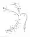 Fig. 01 - TRACHEAL TUBE WITH CONTROLLED-PRESSURE CUFF