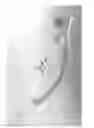 Fig. 06 - Reversible airway device and related method for ventilating a subject