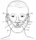 Fig. 01 - PATIENT INTERFACE CUSHION WITH INTEGRAL STRAPS