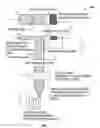 Fig. 02 - Tissue bonding implantation device and method