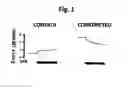 Fig. 02 - Use of magnetic stimulation to modulate muscle contraction