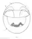 Fig. 02 - Inflatable lifesaving device