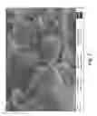 Fig. 02 - Chemically stable ceramic-metal composite membrane for hydrogen separation