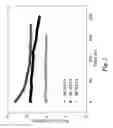 Fig. 03 - Chemically stable ceramic-metal composite membrane for hydrogen separation