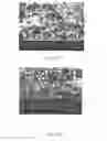 Fig. 06 - Polymeric film exhibiting improved anti-blocking characteristics and process of making